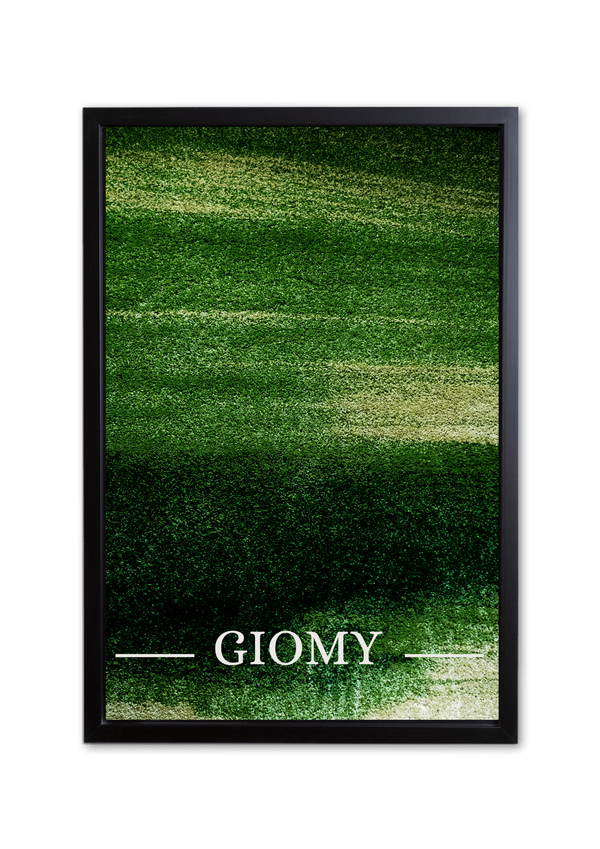 Hush Luxury Canvas Prints. Premium art for sale, Art gallery online, Unique wall art decor pieces.